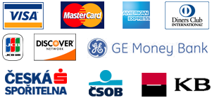 Selection of the supported payment methods